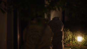 配音,树木,衣服,植物,全景
