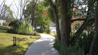 旅拍风景,配音,树木,植物,全景