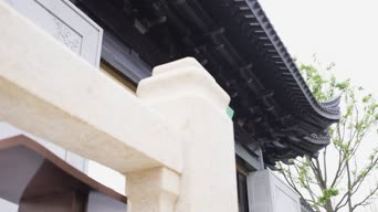 配音,树木,植物,全景
