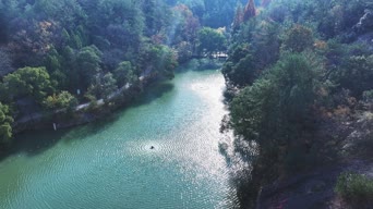 旅拍风景,游泳,美景,树木,植物,全景