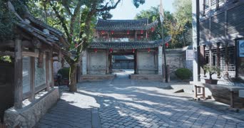 旅拍风景,配音,知识,树木,植物,全景