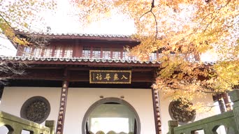 旅拍风景,配音,树木,植物,兄弟,东北,全景