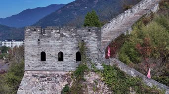 旅拍风景,美景,大自然,树木,植物,全景