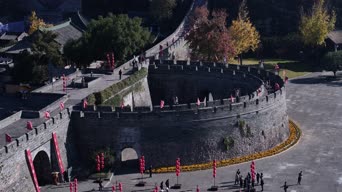 旅拍风景,美景,夜景,旅拍,树木,植物,全景