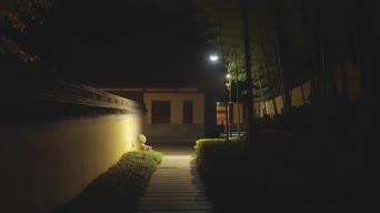 配音,树木,植物,全景