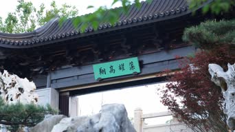 配音,树木,植物,全景
