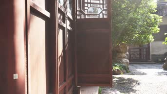 猫咪,植物,美景,萌宠,树木,植物,住宅,全景