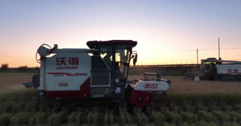 乡村生活,街拍,美景,卡车,树木,全景