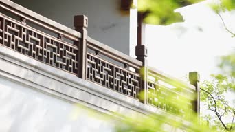 配音,树木,植物,全景