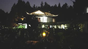 夜景,神曲,街拍,树木,植物,全景