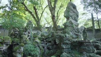 旅拍风景,配音,树木,植物,全景