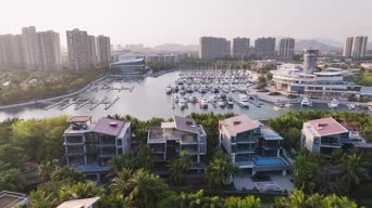 旅拍风景,城市,美景,树木,高楼,全景