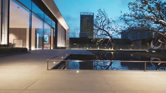 旅拍风景,美景,城市,夜景,树木,全景