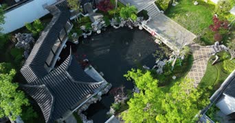 旅拍风景,配音,知识,树木,植物,全景