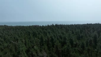 旅拍风景,美景,大自然,大海,树木,植物,全景
