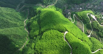旅拍风景,美景,摄影,大自然,歌曲演唱,树木,植物,山峰,自然植物,全景