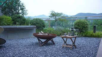 配音,知识,桌子,植物,树木,全景