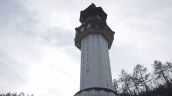 配音,树木,报告,全景