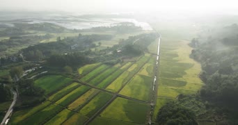 旅拍风景,美景,大自然,树木,全景