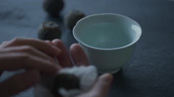 配音,全景