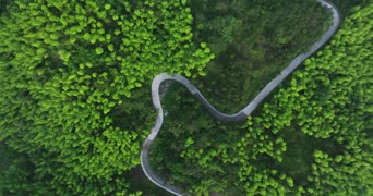 旅拍风景,美景,大自然,植物,树木,全景