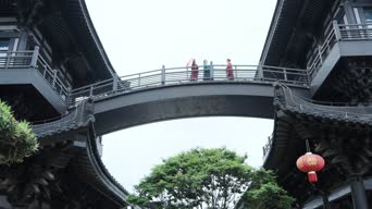 旅拍风景,配音,知识,树木,植物,全景
