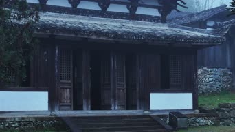 配音,知识,树木,植物,粉饼,全景