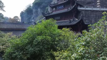 旅拍风景,配音,树木,植物,全景