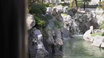 旅拍风景,美景,大自然,树木,植物,全景