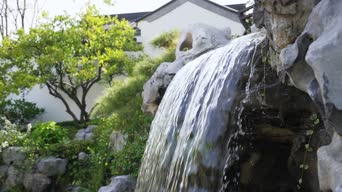 广告短片,美景,大自然,树木,植物,瀑布,全景