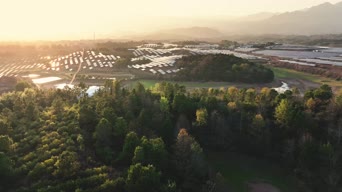 旅拍风景,配音,树木,植物,全景