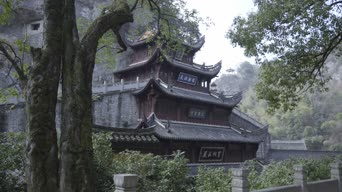 旅拍风景,配音,树木,植物,全景