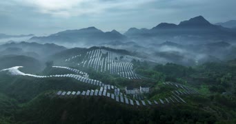 旅拍风景,旅拍,美景,大自然,树木,全景