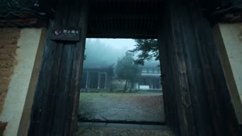 旅拍风景,配音,树木,植物,全景
