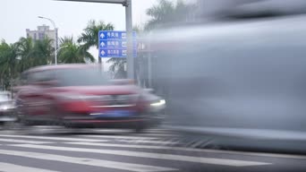 交通,嗨曲,树木,衣服,人行横道,全景