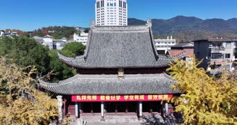 旅拍风景,配音,知识,树木,植物,高楼,全景,礼拜