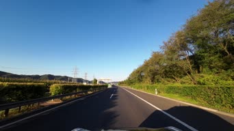 日常生活,美景,旅拍,记录,大自然,树木,全景