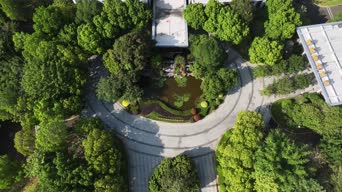 旅拍风景,美景,大自然,树木,植物,全景