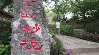 旅行记录,配音,花,植物,树木,角鸮,佳丽,全景