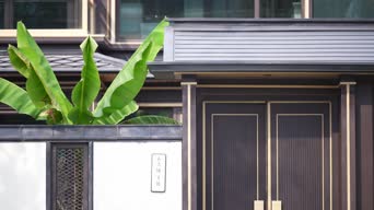 神器,居家好物,家居好物,植物,全景