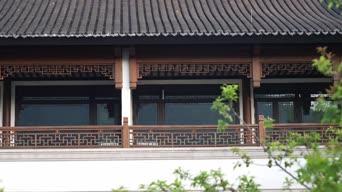职业技能,配音,知识,植物,全景