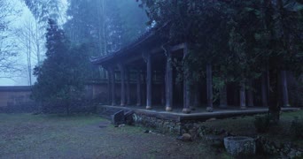 旅拍风景,配音,树木,植物,全景