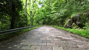 旅拍风景,美景,大自然,街拍,旅拍,树木,植物,山路,全景