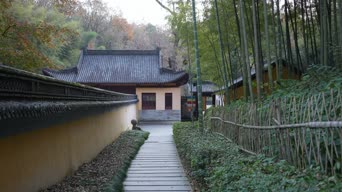 旅拍风景,美景,庭院,树木,植物,全景