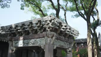 旅拍风景,配音,知识,树木,植物,全景