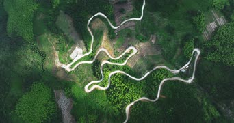 旅拍风景,配音,知识,树木,植物,全景