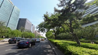 生活日常,美景,火车,大自然,树木,植物,高楼,金景,全景