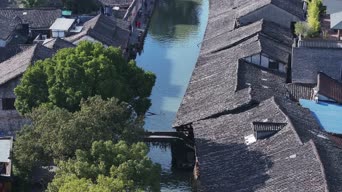 旅拍风景,美景,神曲,树木,植物,河流,全景