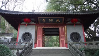 旅拍风景,配音,知识,树木,植物,全景