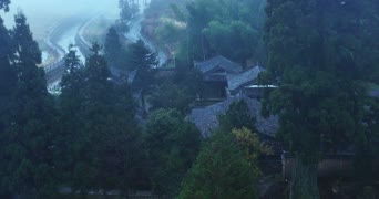 旅拍风景,配音,知识,树木,植物,全景
